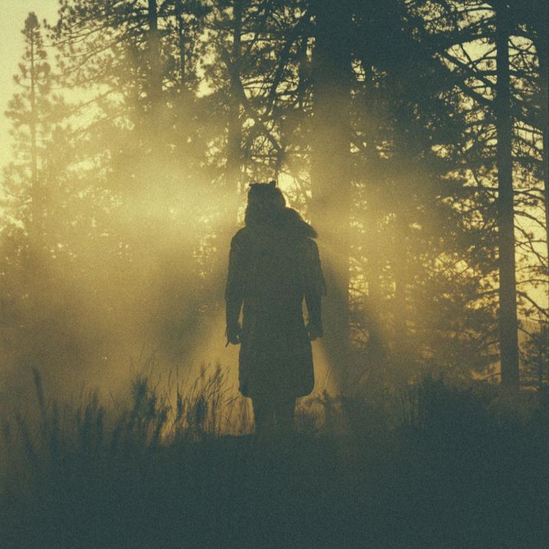 Thundercat - The Beyond / Where The Giants Roam [Brainfeeder, BFDNL055, USA, 2015] PAYNOMINDTOUS.IT image 1