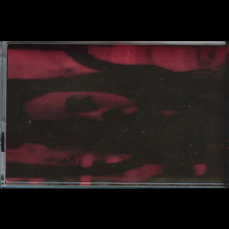 Diana Berti - Tragedy of the Uncommons [Cuss Fetish, 2015] PAYNOMINDTOUS.IT image 1