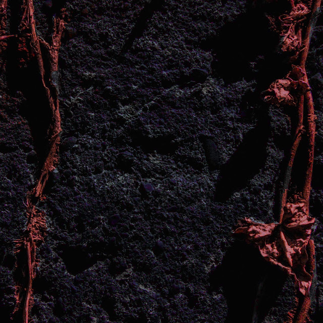 guestmix_4_torn_artwork