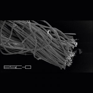 ESC#0 Extended Stage Conference @Bunker | Torino, 18/04/2019 PAYNOMINDTOUS.IT image 2