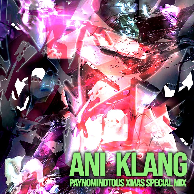 PAYNOMINDTOUS XMAS SPECIAL MIX BY ANI KLANG PAYNOMINDTOUS.IT image 1